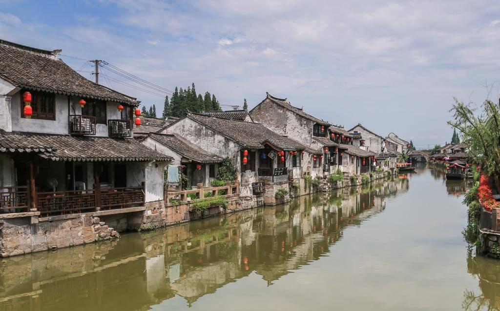拯救小萌虎